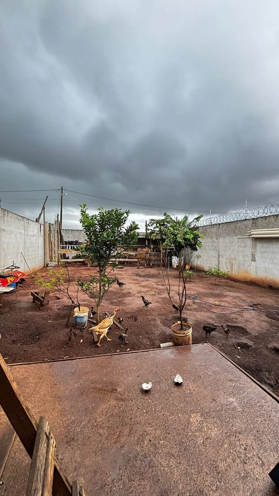 Casa à venda no Loteamento Nanuque - Foto 12