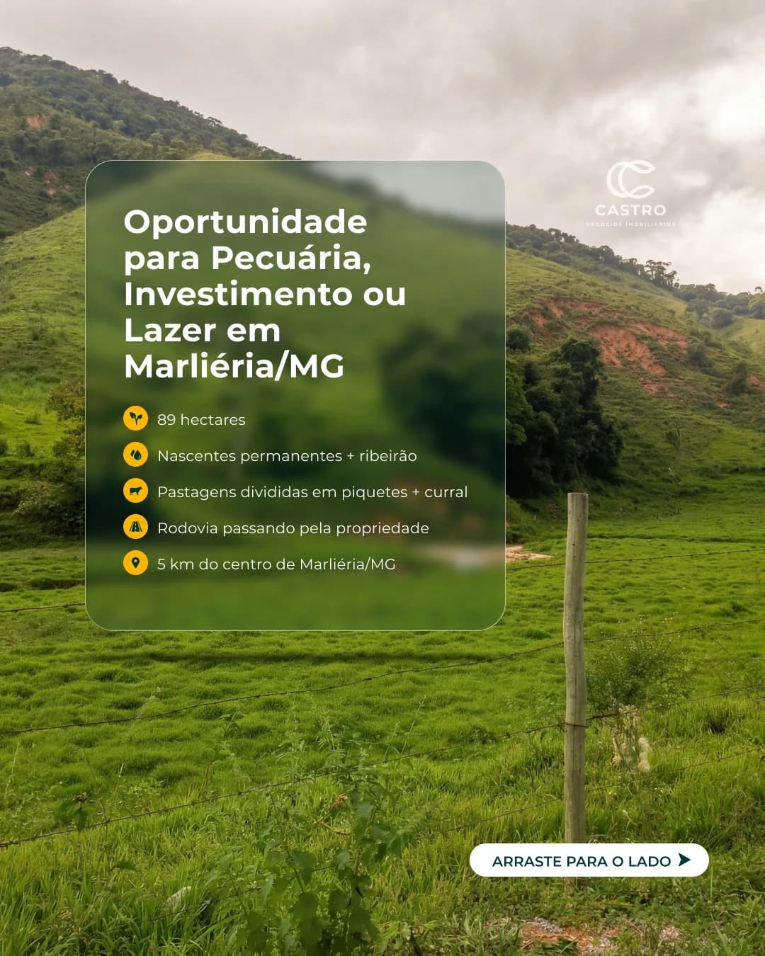 Excelente Oportunidade para Pecuária, Investimento ou Lazer em Marliéria/MG! - Foto 1