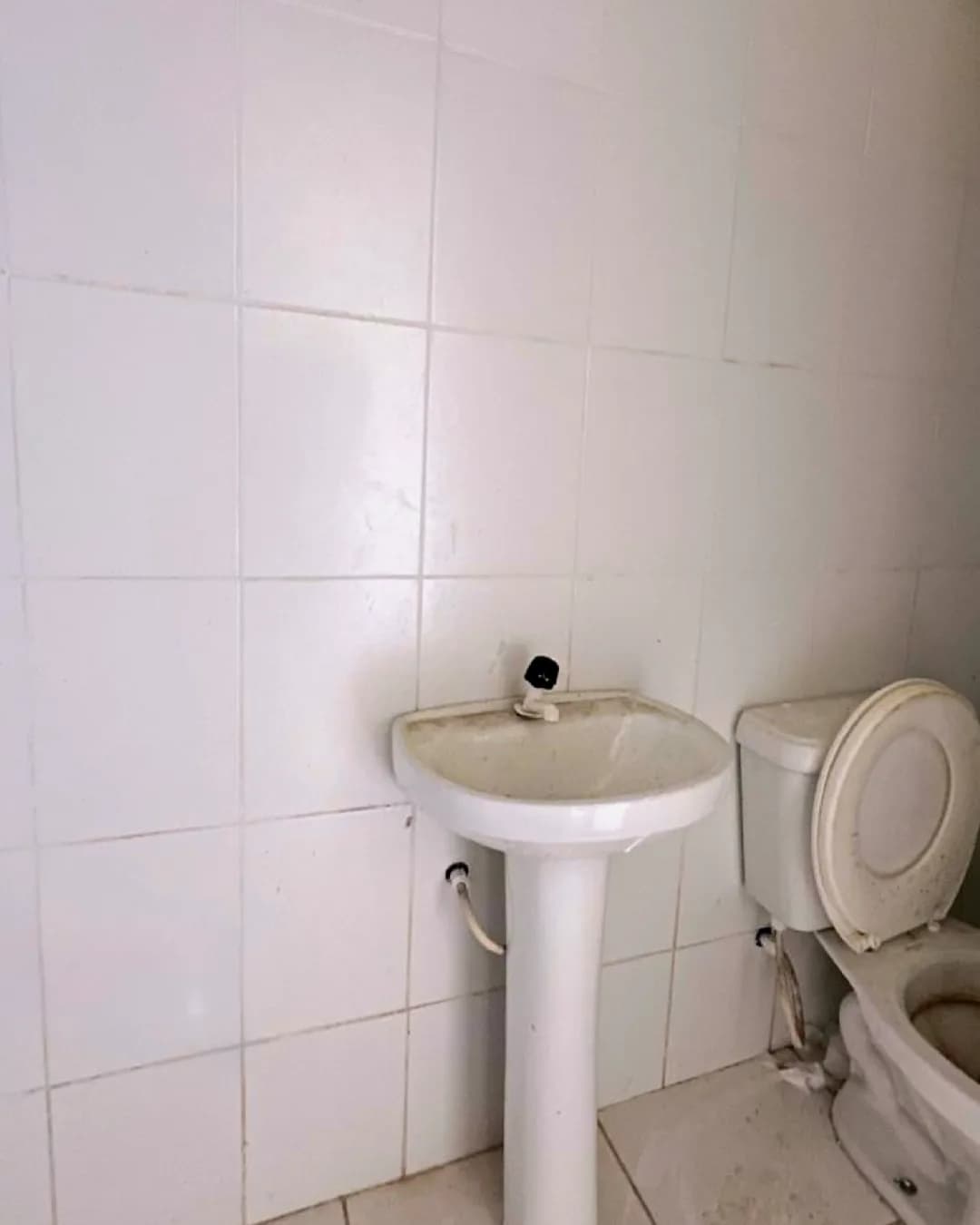 Prédio à venda - Bonadiman - Foto 11